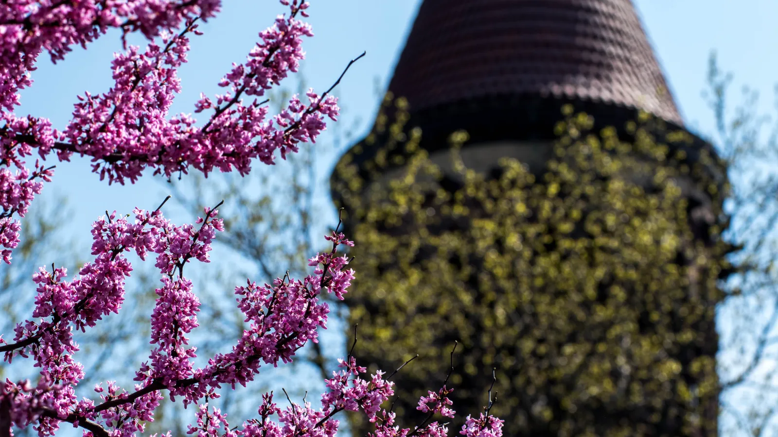 Orton Hall in the Spring