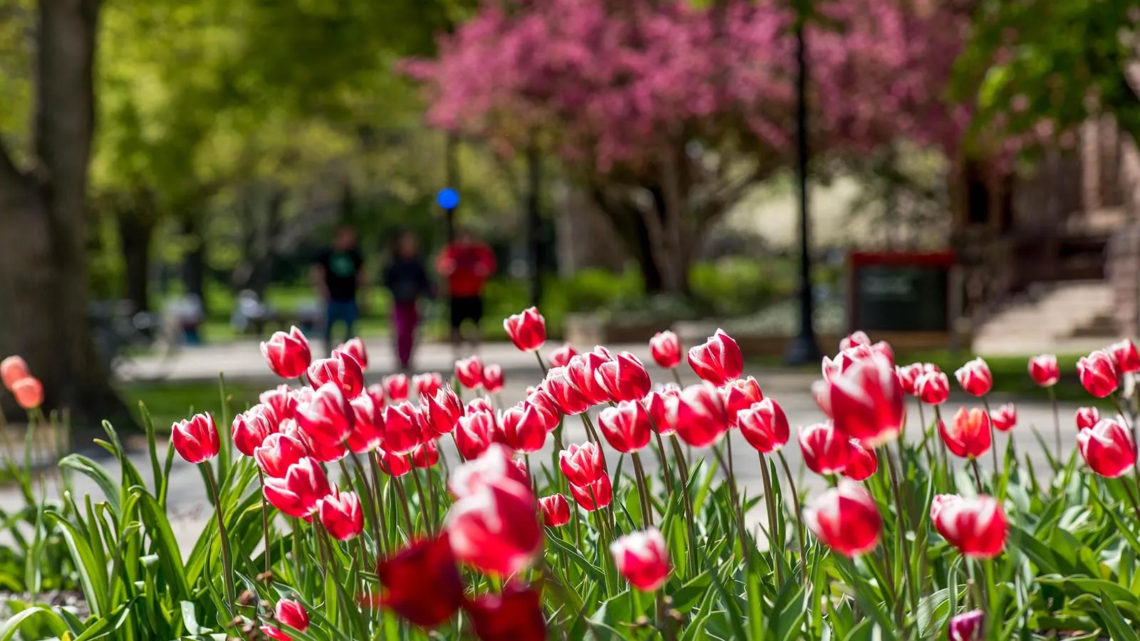 Spring
