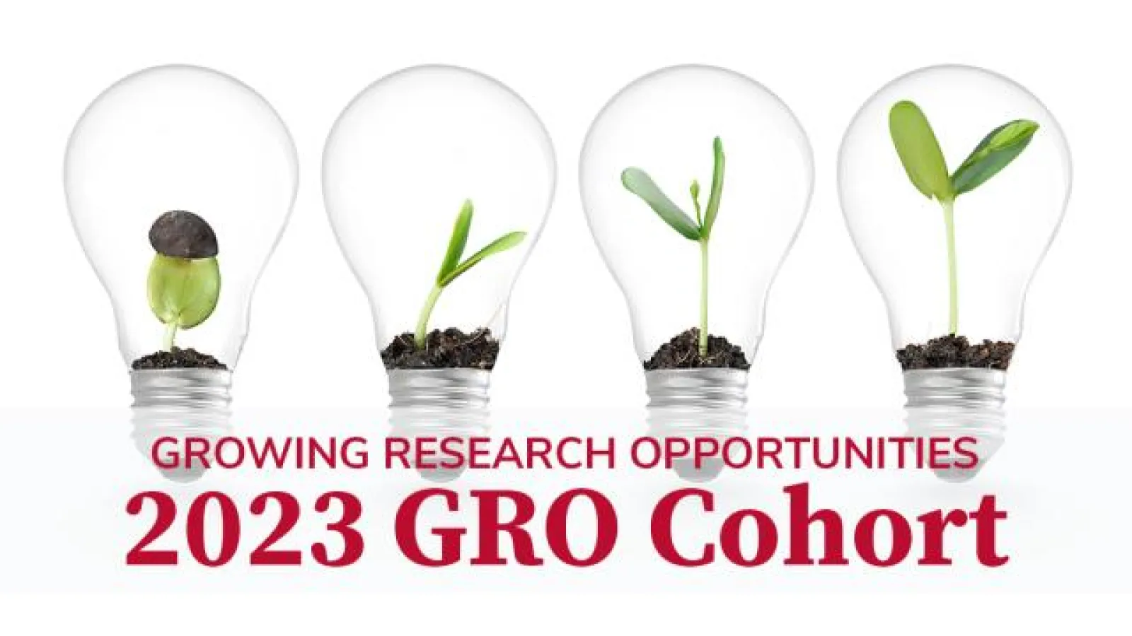 2023 GRO Cohort Image