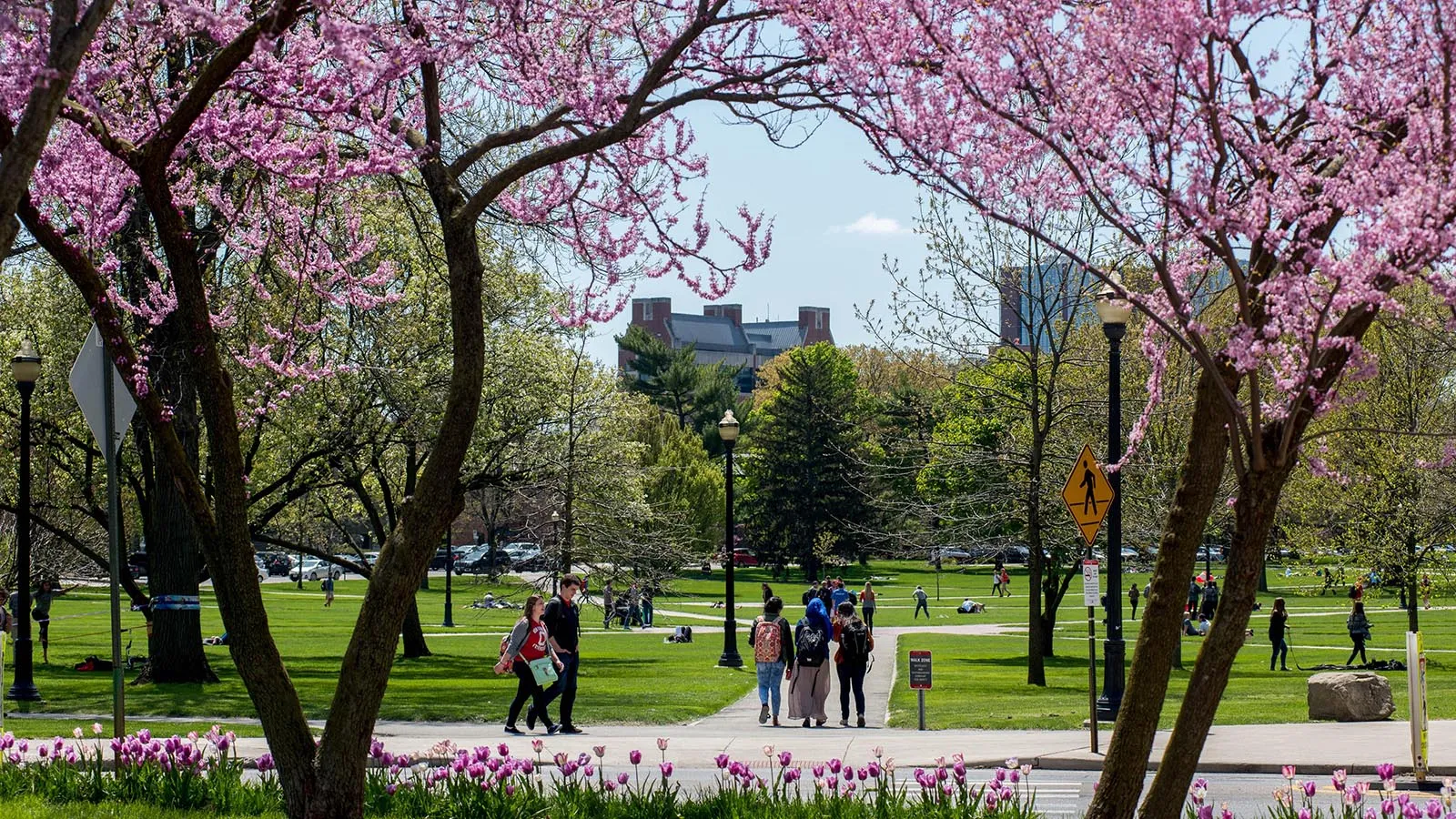 Ohio State Oval in Spring