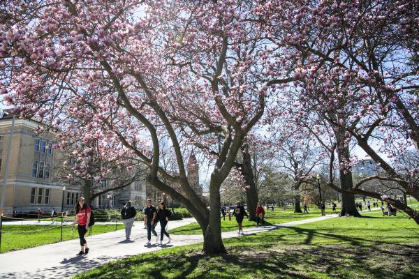 OSU campus in the spring